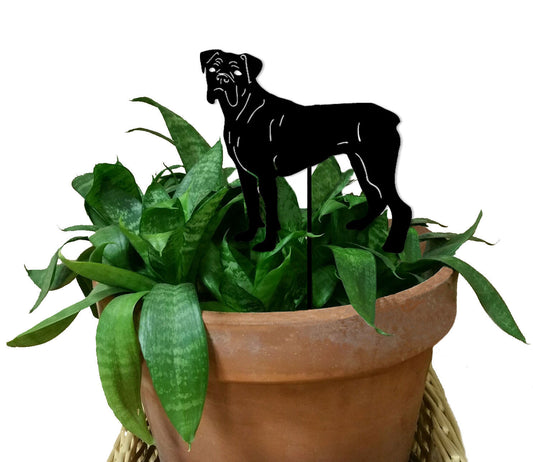 Boxer Plant Stake