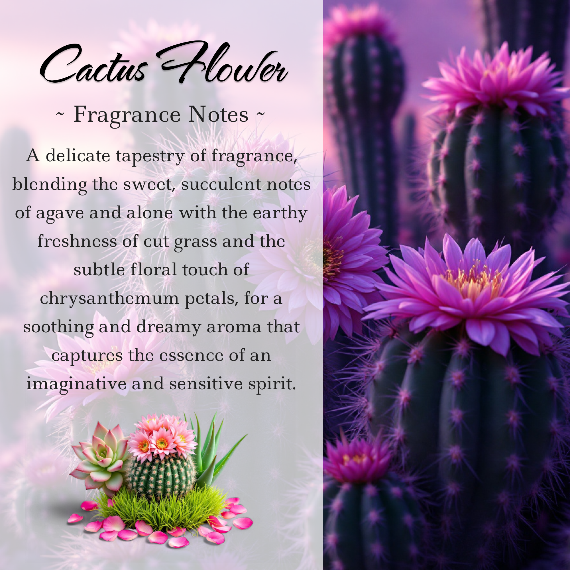 Cactus Flower and Jade Crystal Candle, 10oz