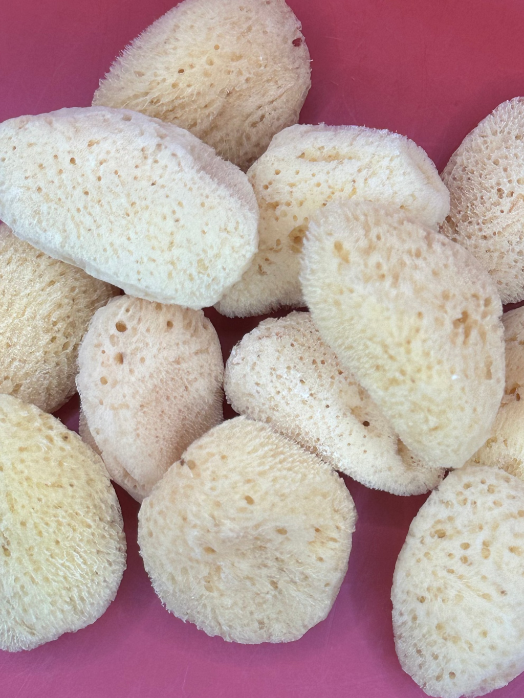 Natural Cosmetic Sea Sponge – 2–2.5"