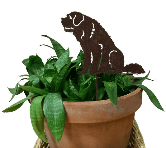 St. Bernard Plant Stake